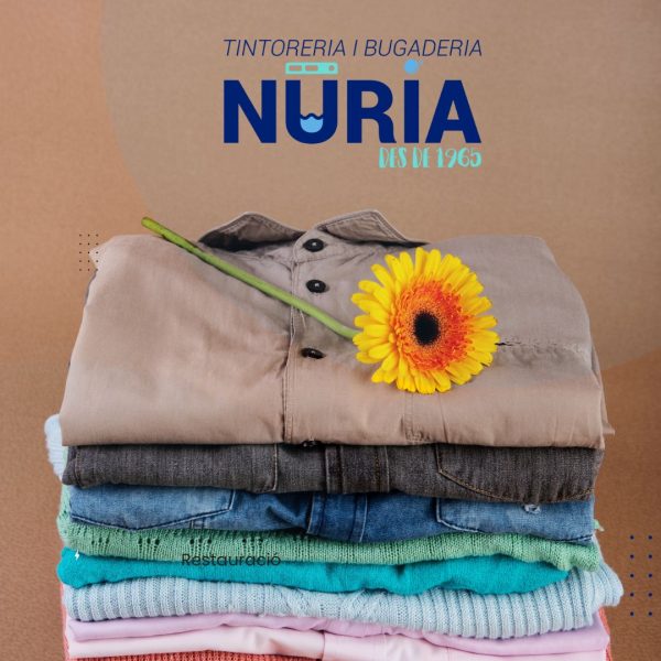 5 razones por las que tu negocio necesita una lavandería industrial profesional en Girona